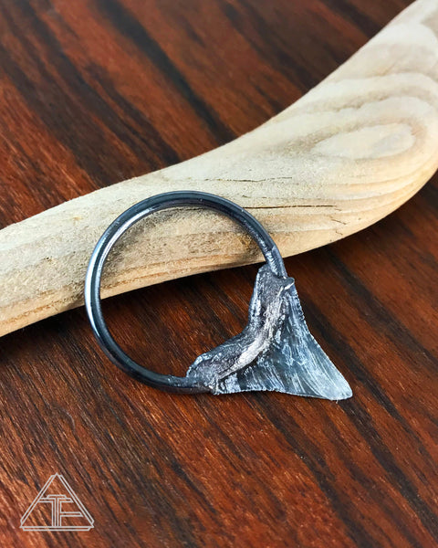 Bull Shark Tooth Crystal Talisman Pendant Choker